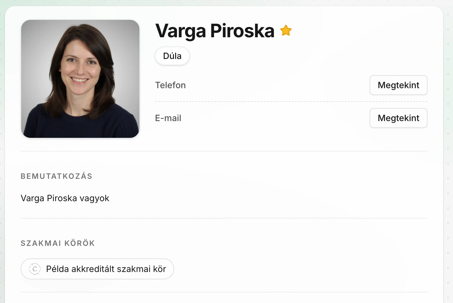 Szakmai kör a profil oldalon
